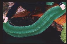 Aquaforte Eierafzetborstel - 130x14 cm - Paaiborstel - productfoto