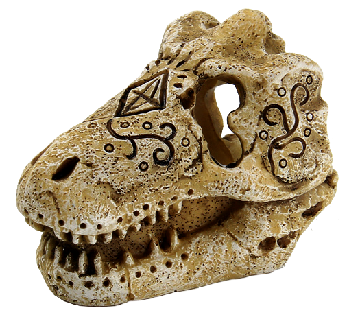 Superfish Skull T-Rex S - aquariumdecoratie dinosaurusschedel