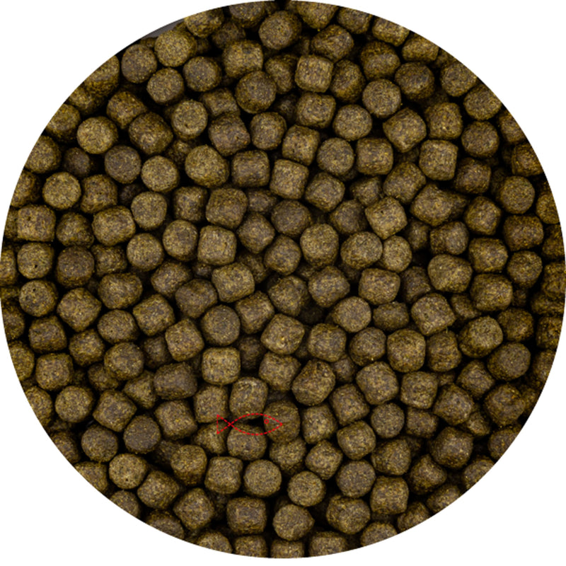 Vivani Color met Spirulina 6mm (15 Kilo Zak) - productfoto, Koivoer Kleur bij Vijvercentrum