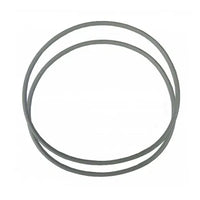 AquaForte O-ring tank Ultrabead beadfilter - Set van 2 afdichtingsringen, miniatuur 2