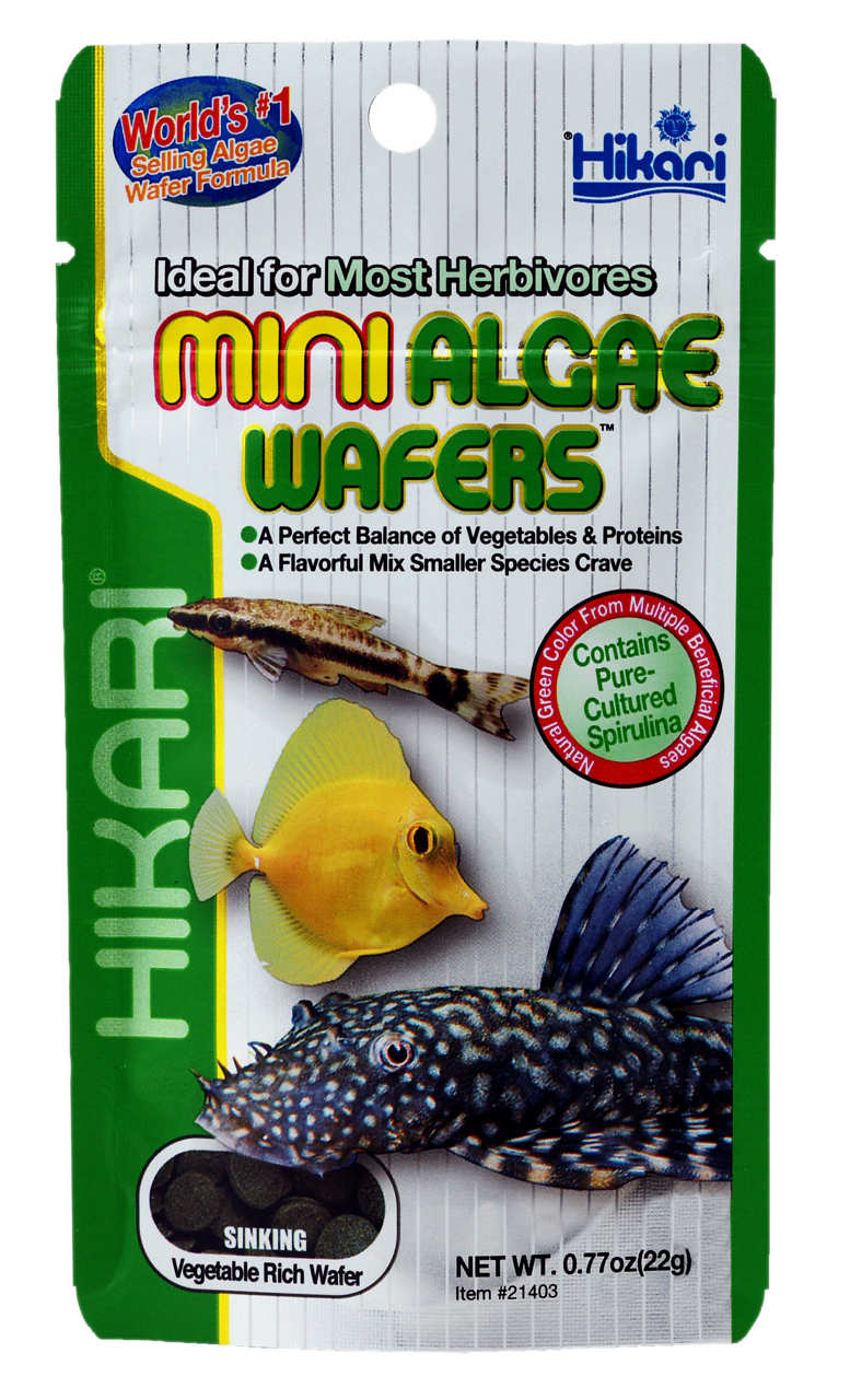 Hikari Mini Algae Wafers 22 gram - Zinkend algenvoer voor bodemvissen en pleco's