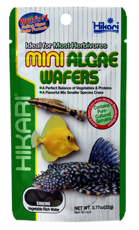 Hikari Mini Algae Wafers 22 gram - Zinkend algenvoer voor bodemvissen en pleco's, miniatuur 2