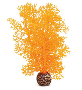 biOrb hoornkoraal klein oranje