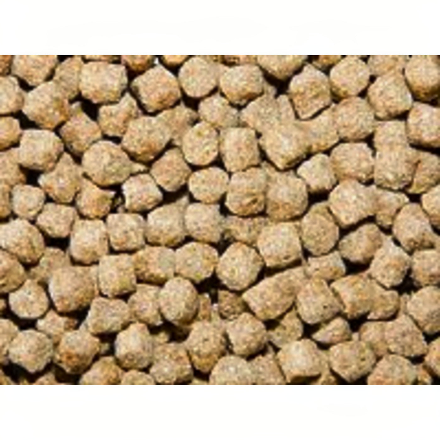 Pond Pro Pond Pellet Staple 5 kg - Drijvend basisvoer voor koi en vijvervissen
