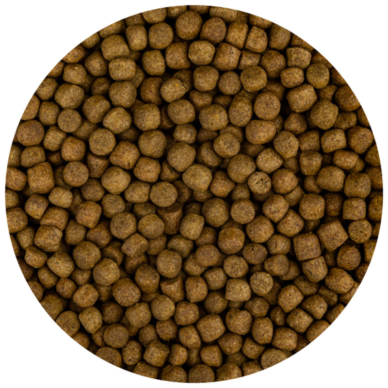 Fd Food Build-Up Extra M 5,7mm (3 Kilo) - productfoto, Koivoer Basis bij Vijvercentrum