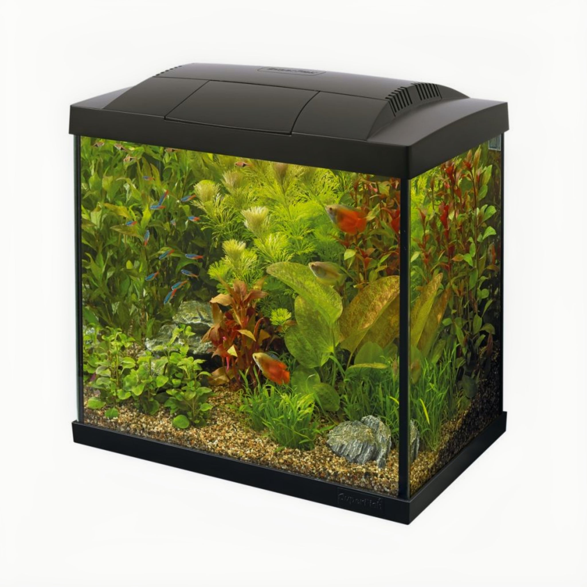 Superfish Start 50 Tropical Kit Zwart - productfoto
