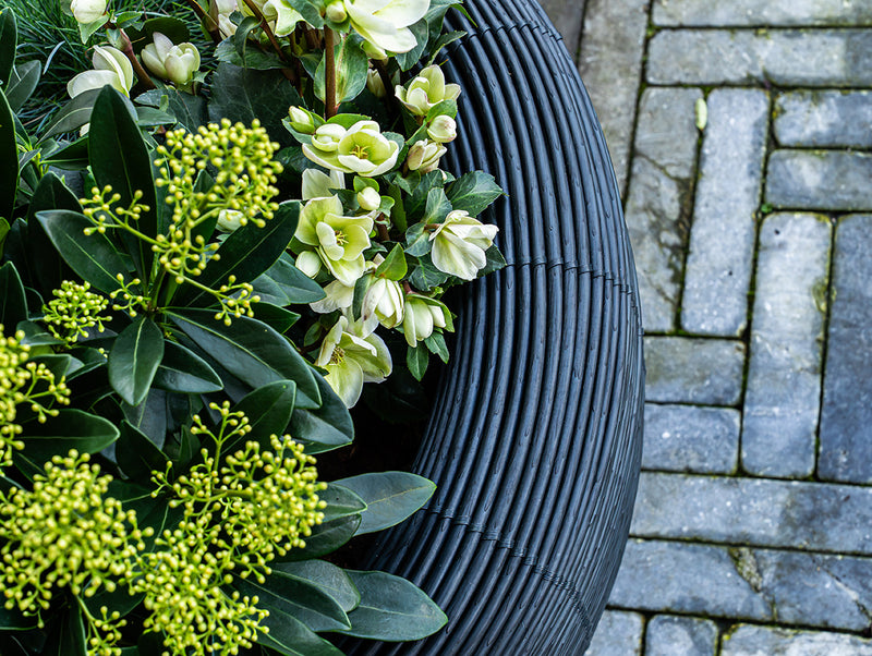 Velda Velda Orbis Planter Antraciet - Wicker plantenbak 70 liter voor binnen en buiten, afbeelding 4 Plantenbak