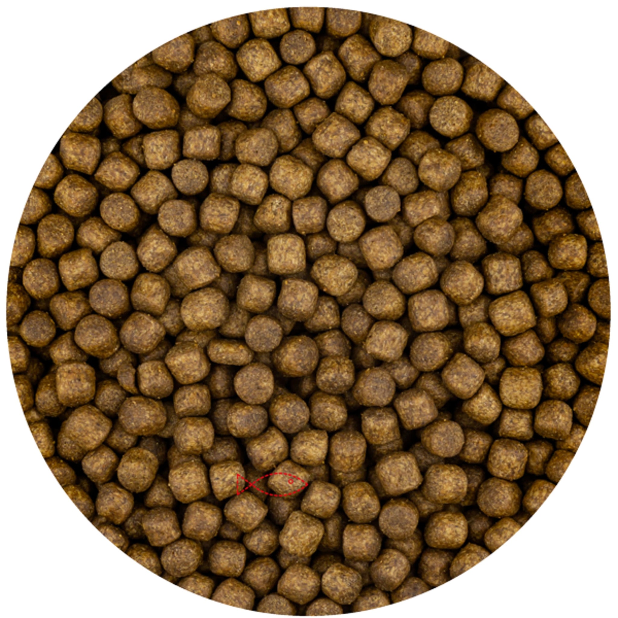 Vivani Grower 6mm (6 Kilo Zak) - productfoto