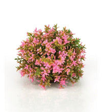 biOrb Decobol Roze - decoratieve bloemenbol voor biOrb aquarium, miniatuur 2
