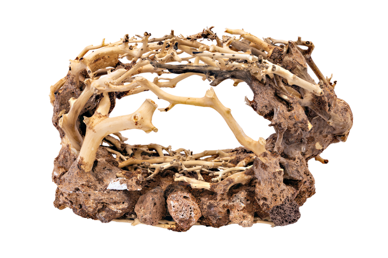 Superfish Bonsai Rock (Maat L), afbeelding 2 Aquarium