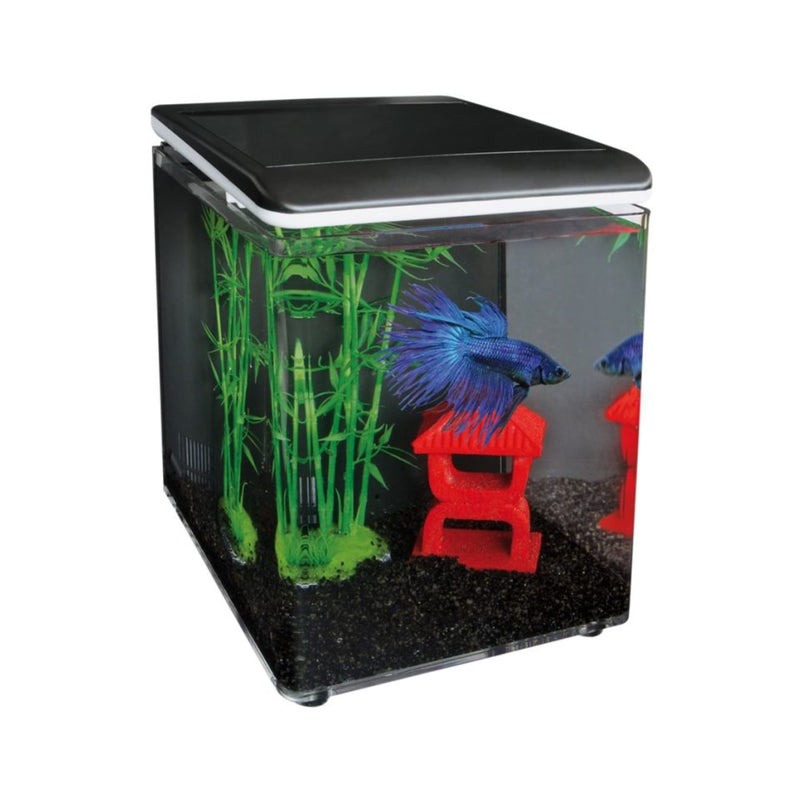 Superfish Betta 8 Aquarium (Zwart / 8 Liter), Aquarium bij Vijvercentrum