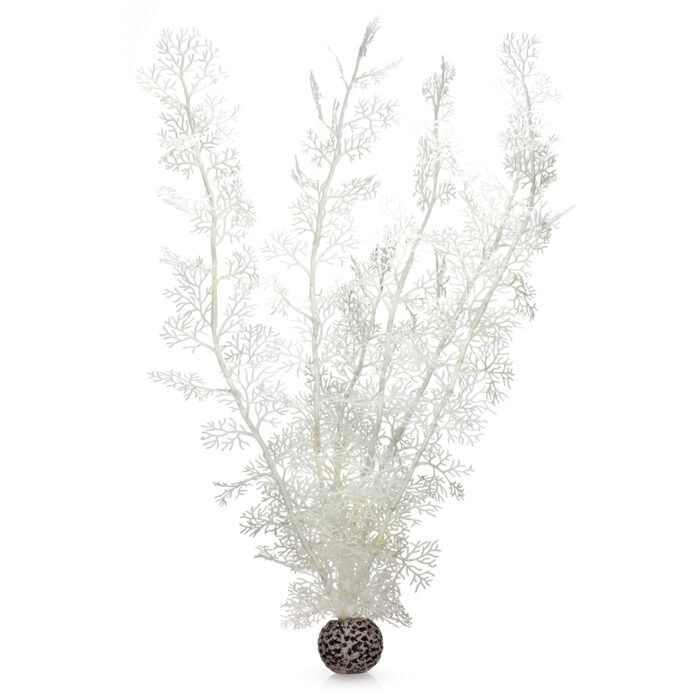 biOrb Hoornkoraal Extra Groot Wit - XL zeewaaier sculptuur voor biOrb aquarium, afbeelding 2 Aquarium Decoratie