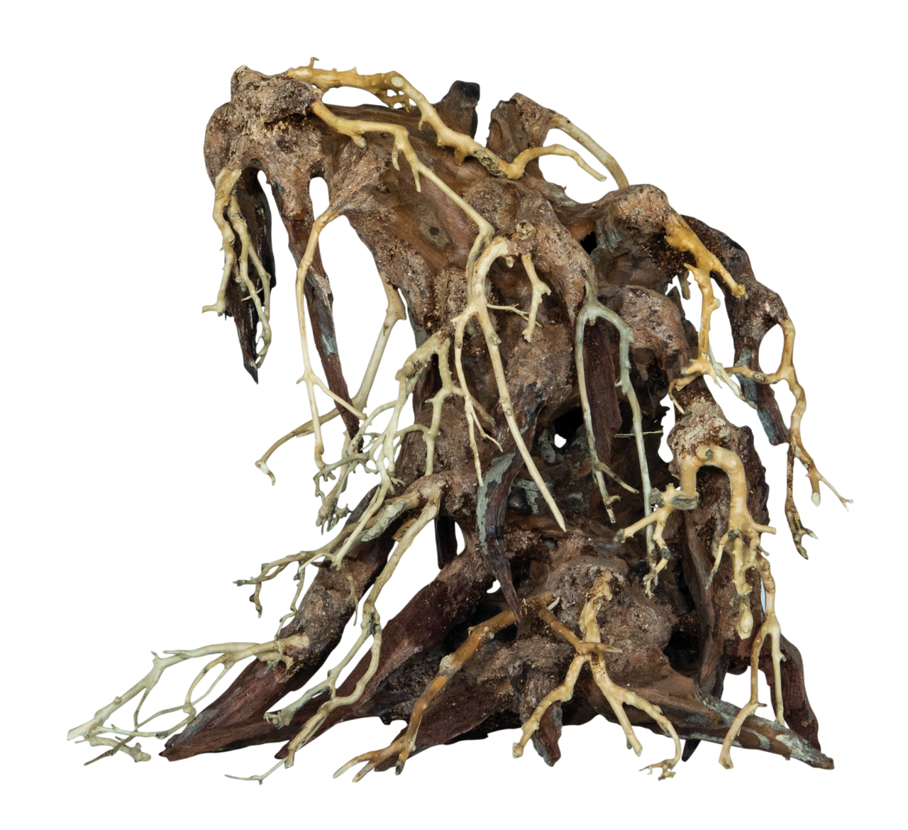 Superfish Bonsai Root Aquarium Decoratie - Medium