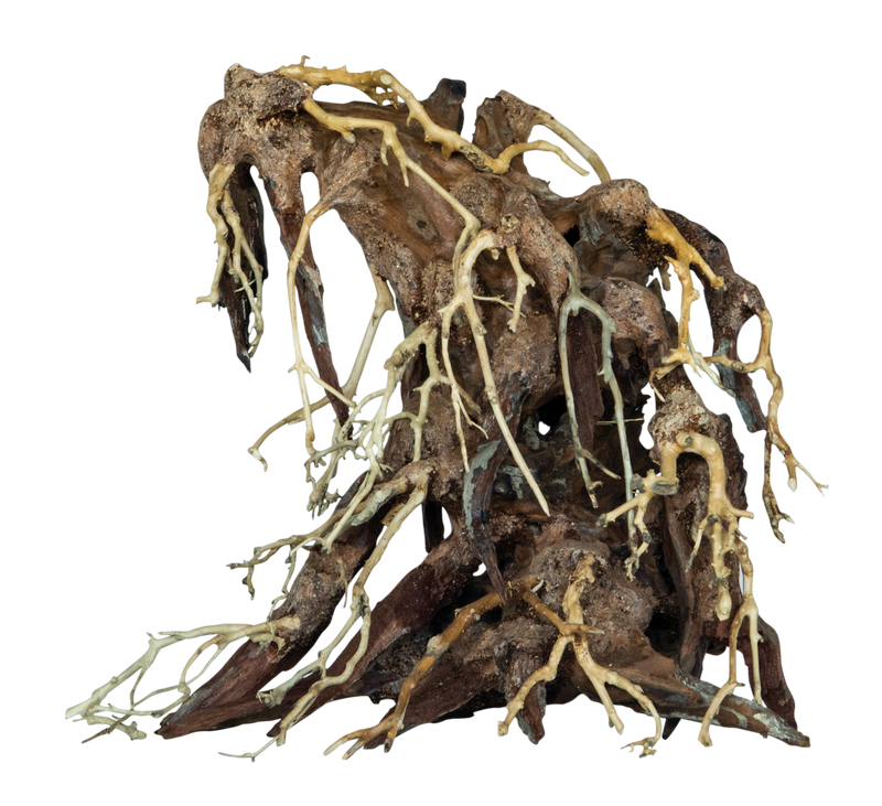 Superfish Bonsai Root Aquarium Decoratie - Medium, afbeelding 2 Aquarium Bonsai