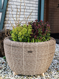 Velda Velda Orbis Planter Sepia - Wicker plantenbak 70 liter voor binnen en buiten, miniatuur 2