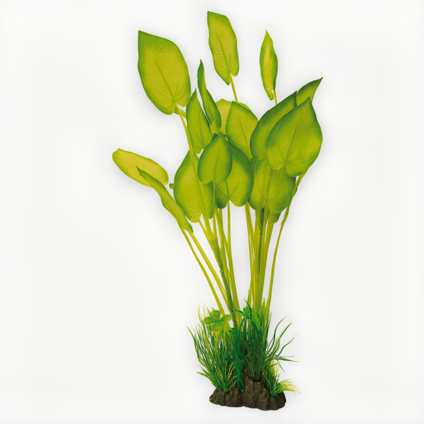 Superfish Art Plant 40cm Echinodorus - productfoto