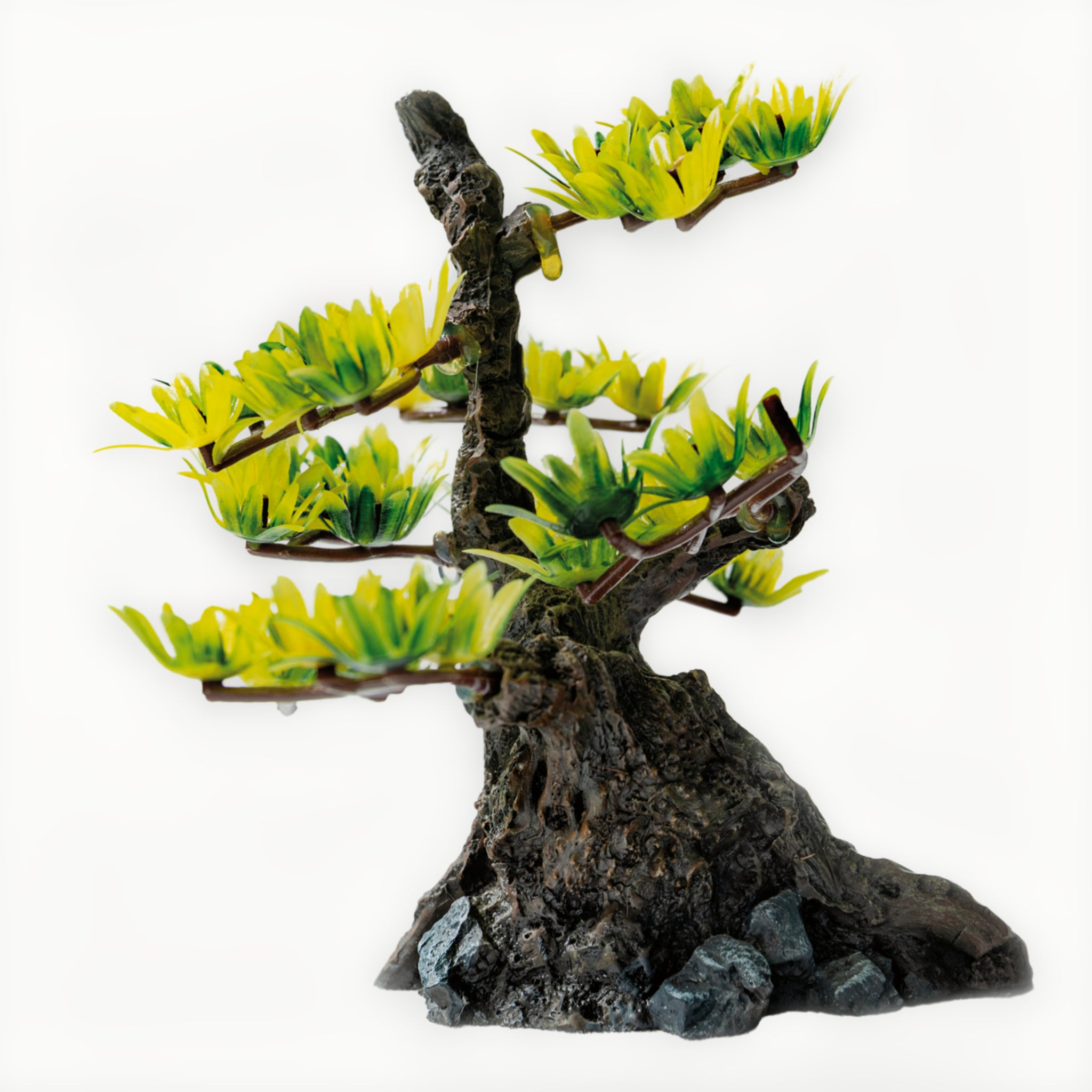 Superfish Deco Bonsai Xs - productfoto