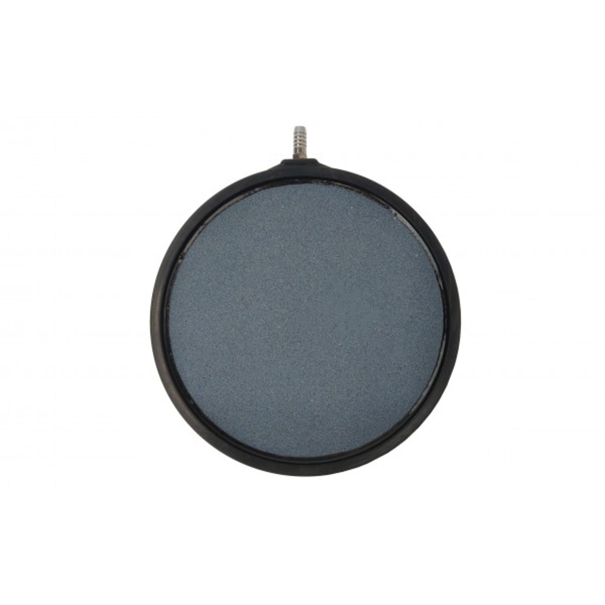 Aquaking Luchtsteen Plat 200x15mm + omranding - productfoto