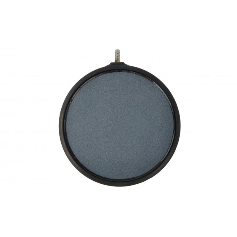 Aquaking Luchtsteen Plat 200x15mm + omranding - productfoto — Luchtsteen bij Vijvercentrum