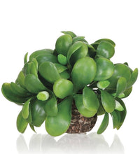 biOrb Maretak Bal - decoratief bodemornament voor biOrb aquarium, miniatuur 2