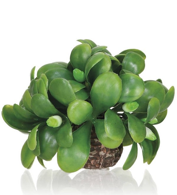 biOrb Maretak Bal - decoratief bodemornament voor biOrb aquarium, afbeelding 2 Aquarium Decoratie