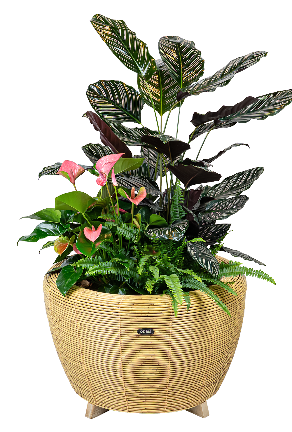 Velda Velda Orbis Planter Natural - Wicker plantenbak 70 liter voor binnen en buiten