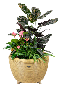 Velda Velda Orbis Planter Natural - Wicker plantenbak 70 liter voor binnen en buiten, miniatuur 5