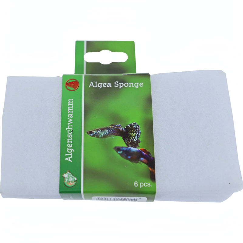 Boon Algenspons Wit 15x8cm Pak A 6 - productfoto, Onderdelen bij Vijvercentrum