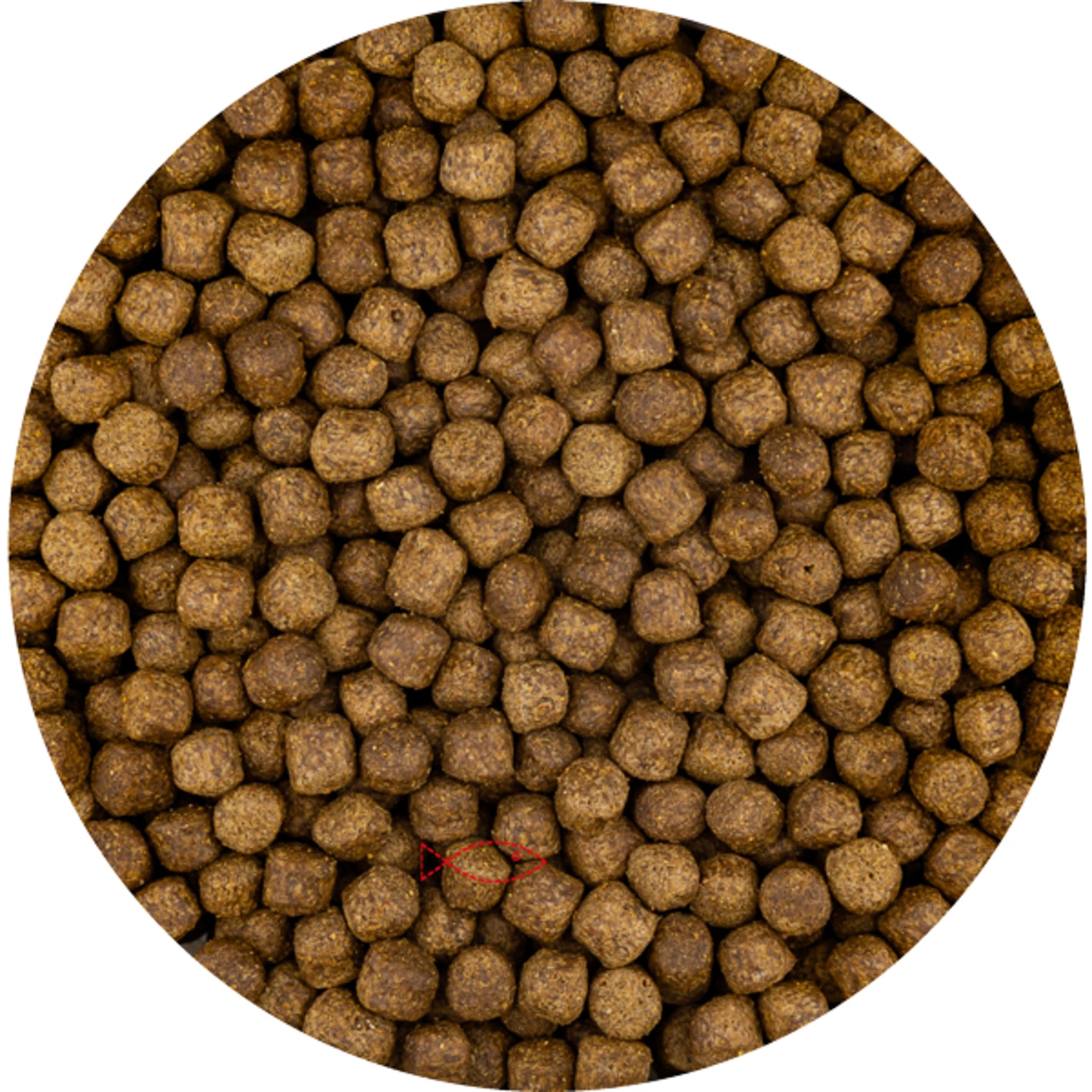 Vivani Top Growth 6mm - (2 Kilo Zak) - productfoto