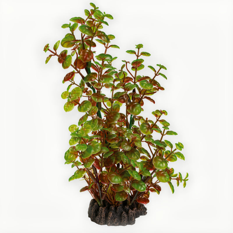 Superfish Art Plant 25cm Rotala - productfoto, Aquarium Decoratie bij Vijvercentrum