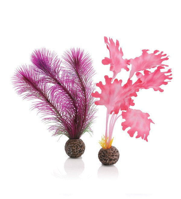 biOrb zeewier set klein roze - Kunstplanten met keramische voet voor biOrb aquaria, afbeelding 2 Aquarium Decoratie