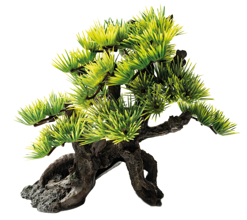Superfish Deco Bonsai S - bonsaiboompje decoratie voor aquarium, afbeelding 2 Aquarium Decoratie
