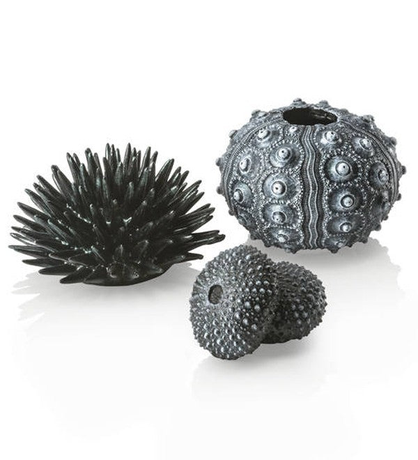 biOrb zee-egel set zwart | Oase productafbeelding, detailaanzicht Aquarium Decoratie