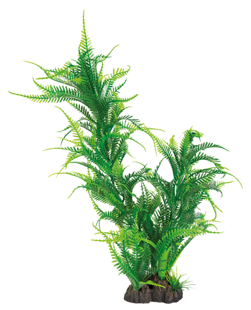Superfish Art Plant Javavaren (Microsorum, 40 cm), afbeelding 2 Aquarium