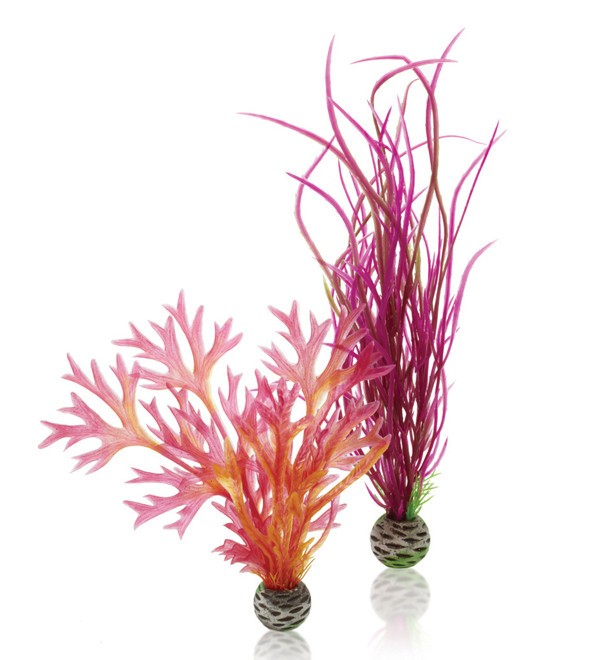 biOrb plantenset medium rood en roze - 2 kunstplanten met keramische voet, afbeelding 2 Aquarium Decoratie