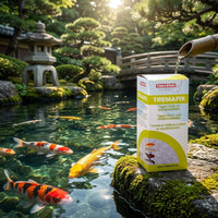 Takazumi Tremafix 500 ml - Vismedicijn tegen huid- en kieuwwormen bij koi, miniatuur 4