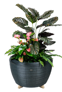 Velda Velda Orbis Planter Antraciet - Wicker plantenbak 70 liter voor binnen en buiten, miniatuur 5
