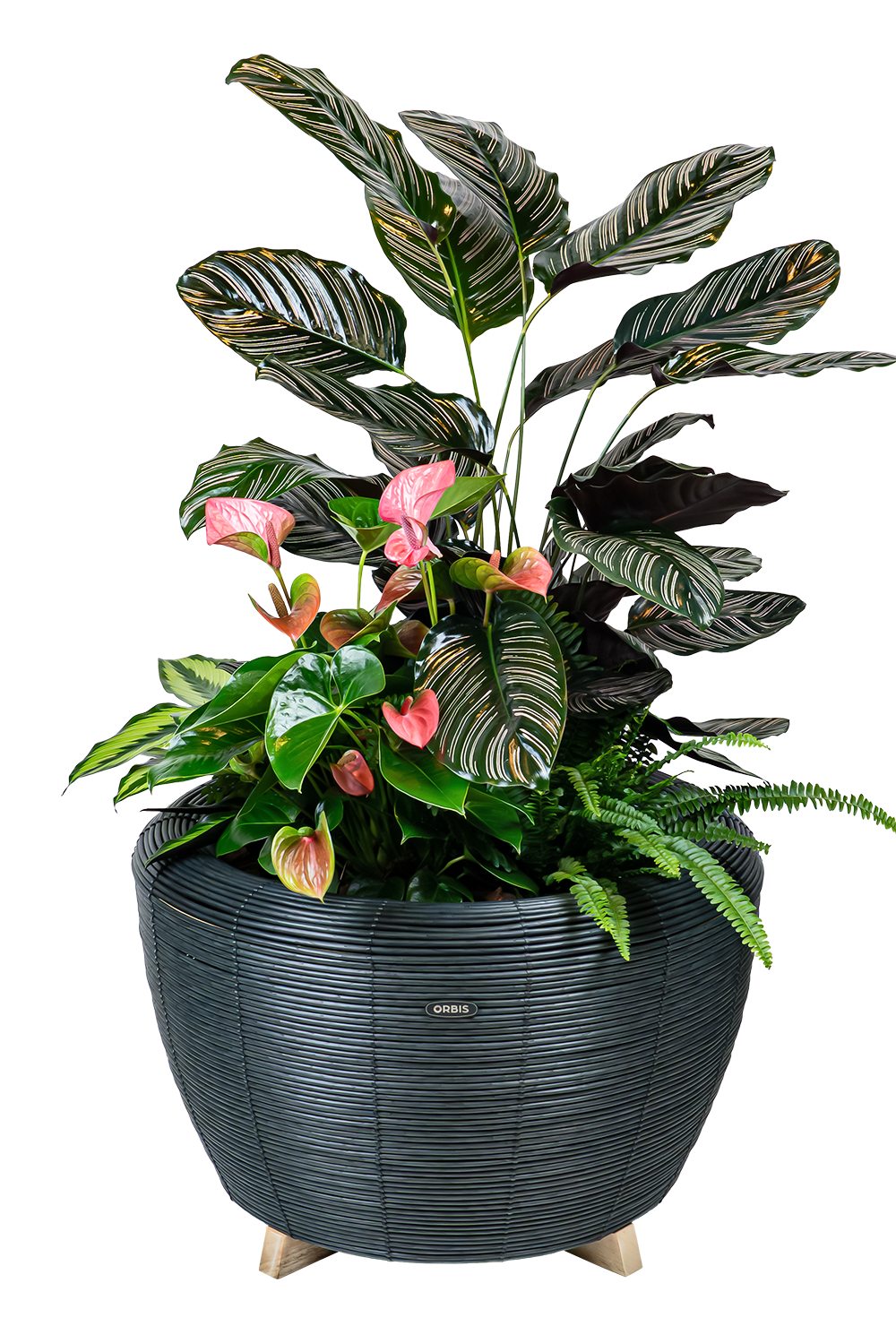 Velda Velda Orbis Planter Antraciet - Wicker plantenbak 70 liter voor binnen en buiten