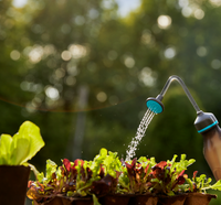 Watering can shower head watering lettuce and other plants in a garden., miniatuur 6