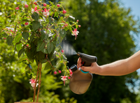 A person using a garden sprayer to water a flowering plant outdoors., miniatuur 5