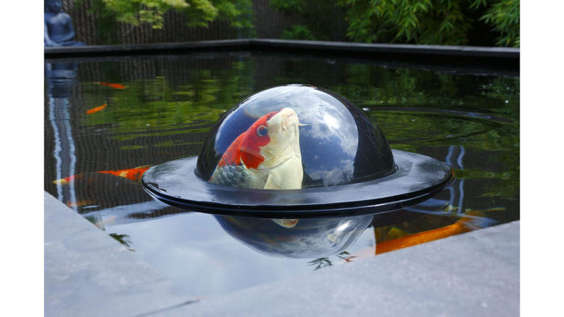 Velda Floating Fish Dome M sfeerbeeld voor visobservatie, afbeelding 4 Vijverdecoratie