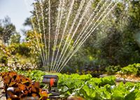 A garden sprinkler watering a lush vegetable garden with leafy greens and flowers., miniatuur 5