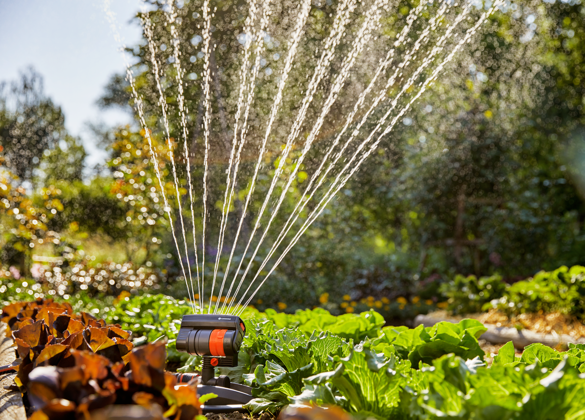 A garden sprinkler watering a lush vegetable garden with leafy greens and flowers.