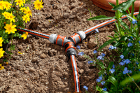 Gardena garden hose connector in a flower bed with yellow and blue flowers., miniatuur 3