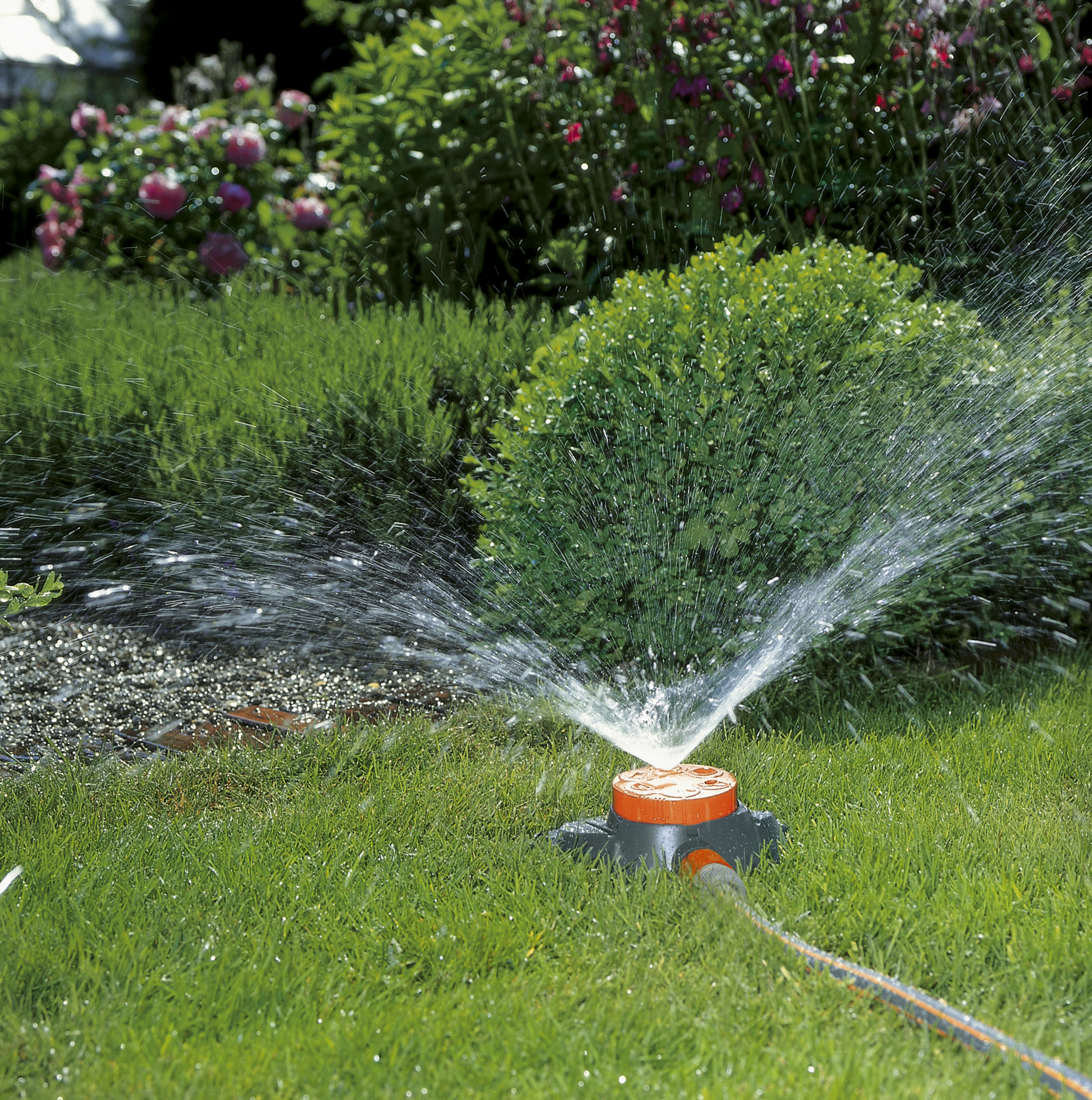 A garden sprinkler watering a lush green lawn surrounded by bushes and flowers.