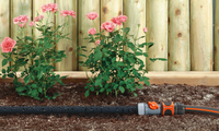 Gardena garden hose with water droplets next to blooming roses and wooden fence., miniatuur 2