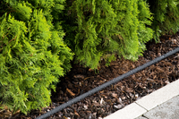 A drip irrigation system watering a row of lush green shrubs along a garden path., miniatuur 3
