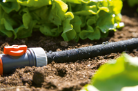 Gardena irrigation system watering lettuce plants in a garden., miniatuur 5