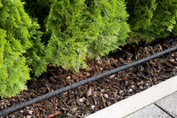 A drip irrigation system installed along a garden bed with mulch and evergreen shrubs., miniatuur 2