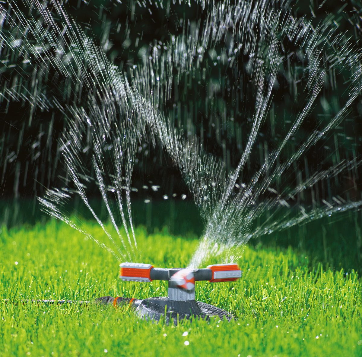 A garden sprinkler in operation, watering a lush green lawn.